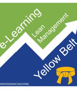 Yellow Belt Lean Management e-learning