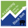 Black Belt Lean Six Sigma e-Learning
