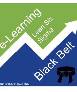 Black Belt Lean Six Sigma e-Learning