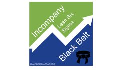 Black Belt Lean Six Sigma Incompany
