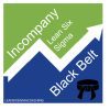 Black Belt Lean Six Sigma Incompany