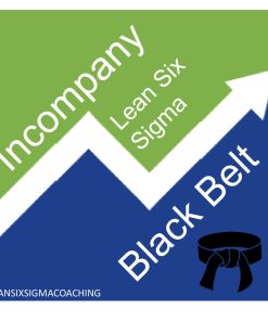 Black Belt Lean Six Sigma Incompany