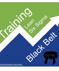 Black Belt Lean Six Sigma Training