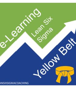 Yellow Belt Lean Six Sigma e-Learning
