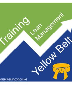 Yellow Belt Lean Management Training