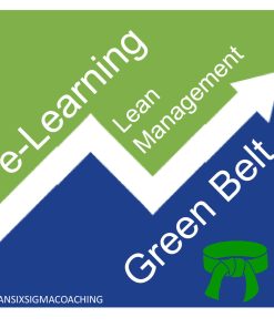 Green Belt Lean Management e-Learning